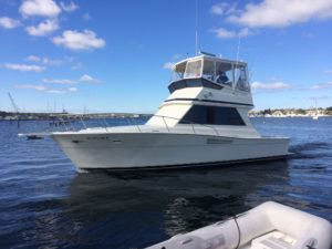 Reel Actions new 35 foot viking